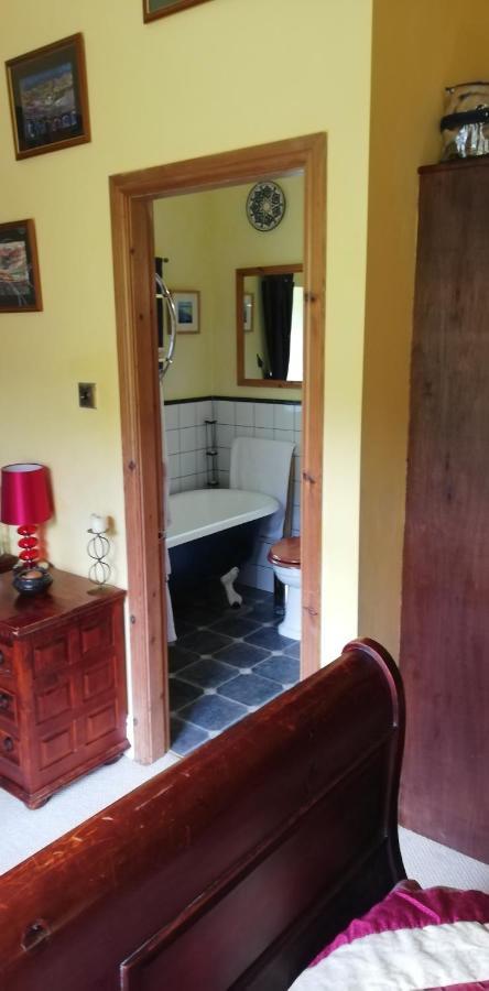 Penmachno Hall - Self Catering Apartment