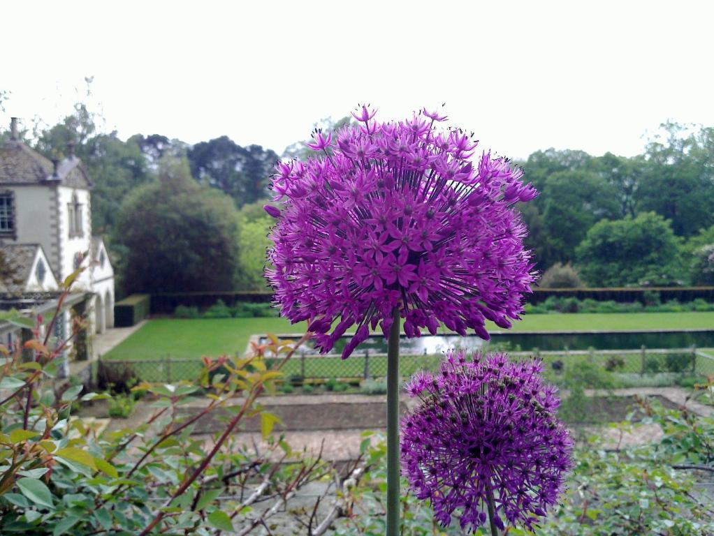 Penmachno Hall - Self Catering * Betws-y-Coed